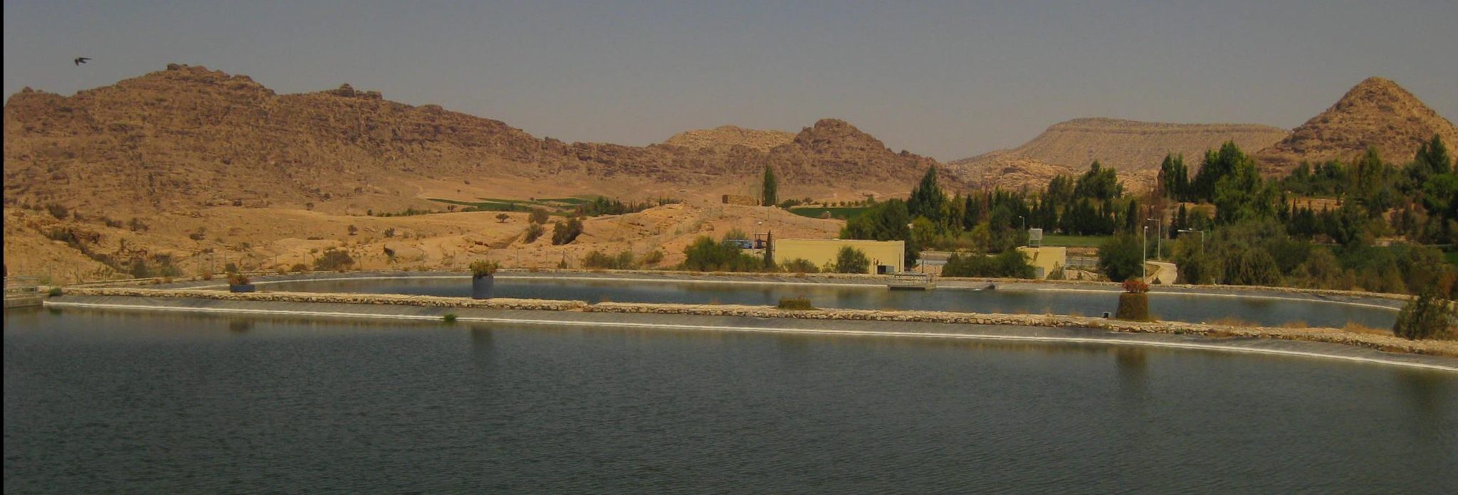 2011_09_13-14-petra-wadi-musa-wwtp-112